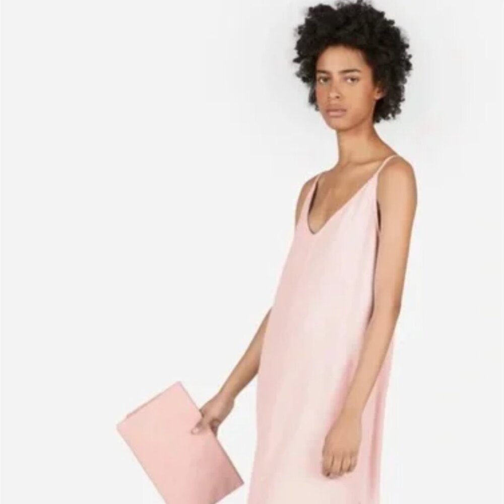 Everlane The Japanese GoWeave Slip Dress
